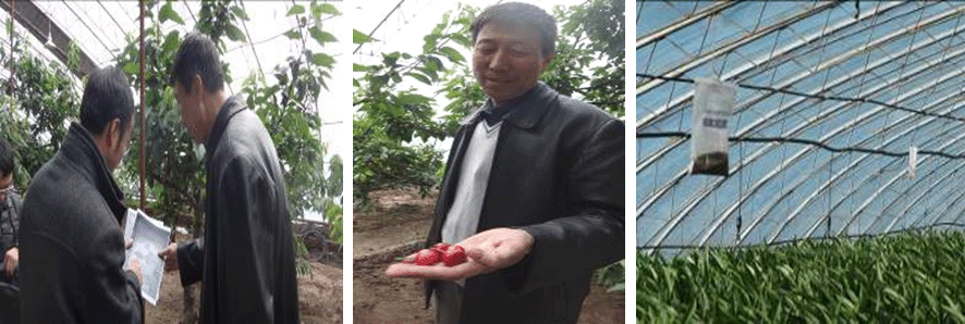 點擊查看大圖