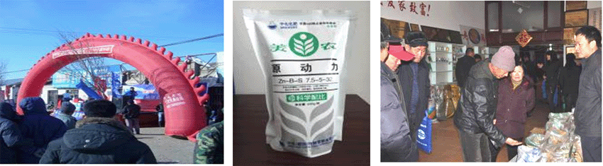 點擊查看大圖