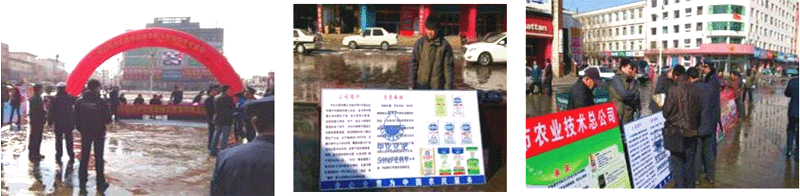點擊查看大圖