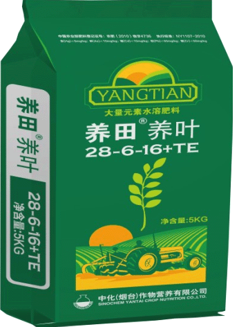 點擊查看大圖