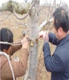 點擊查看大圖