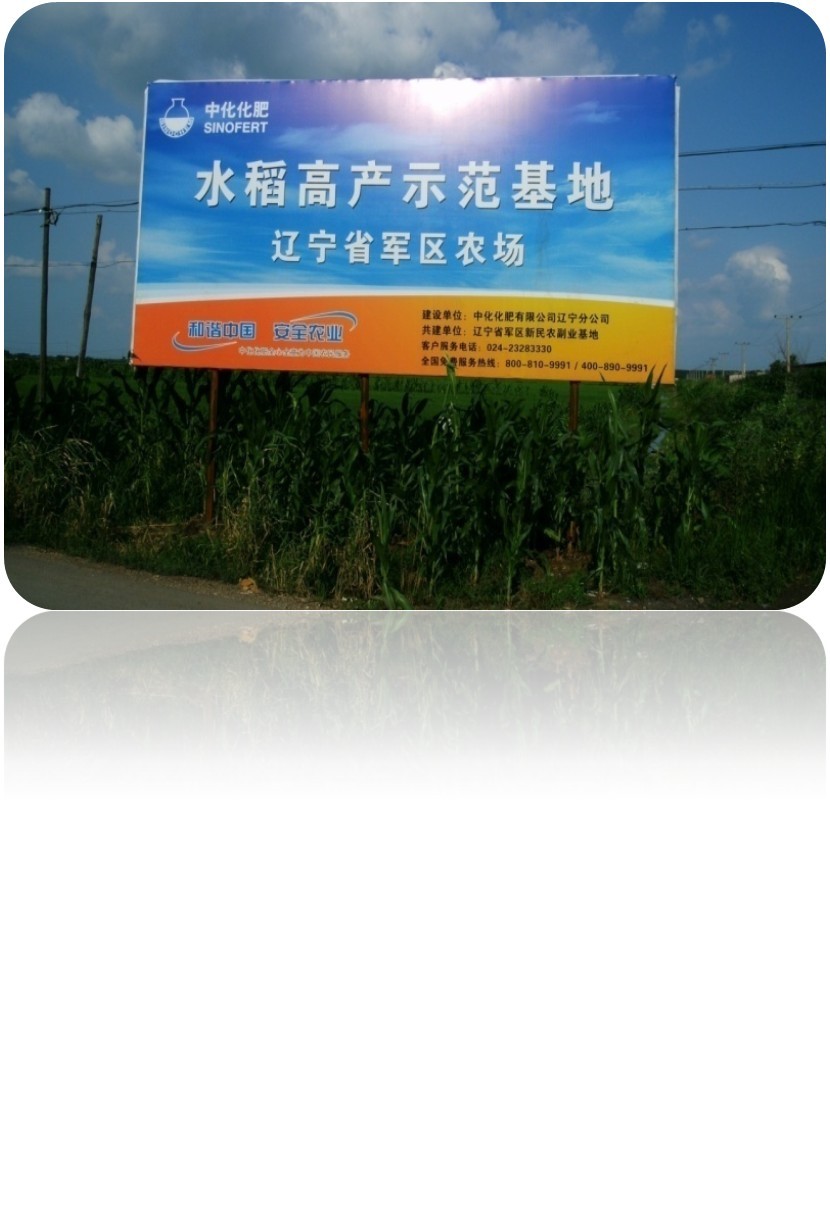 點擊查看大圖