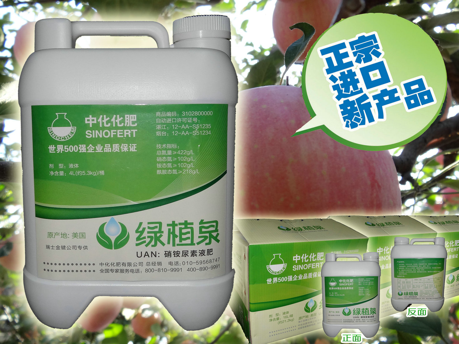 點擊查看大圖