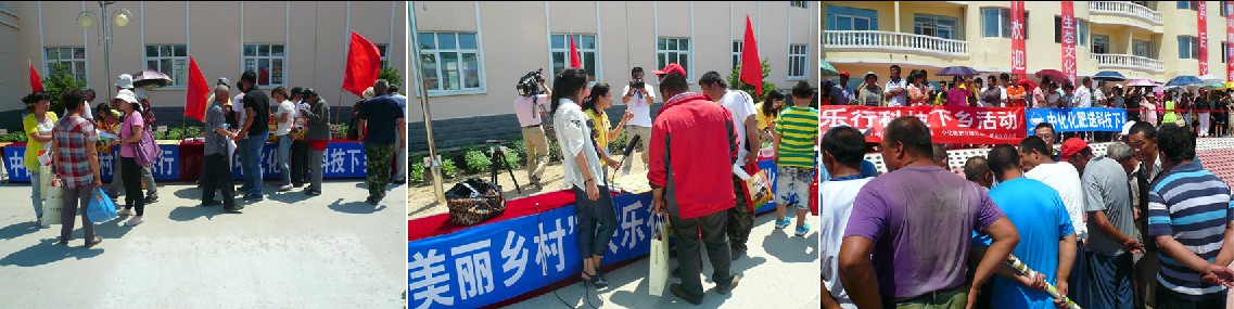 點擊查看大圖