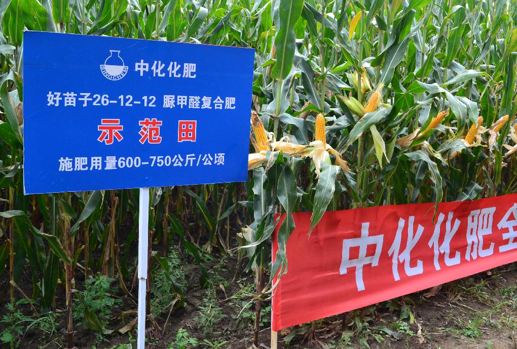 點擊查看大圖