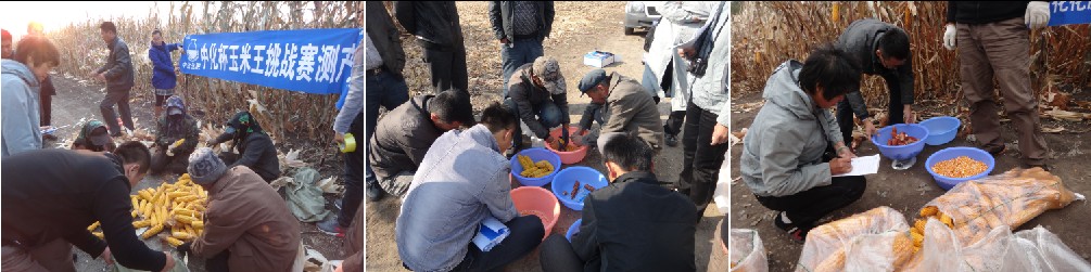 點擊查看大圖