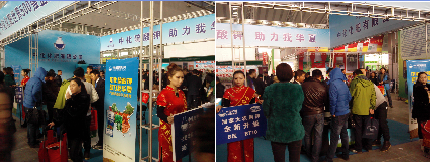 點擊查看大圖