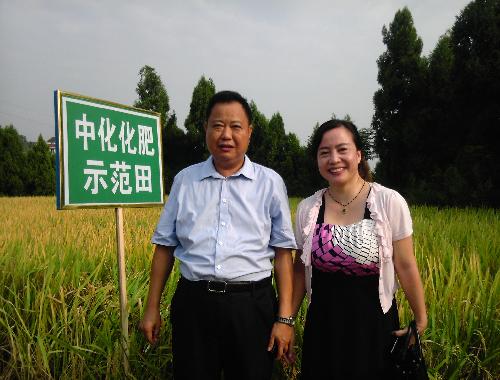 點擊查看大圖