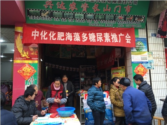 點擊查看大圖