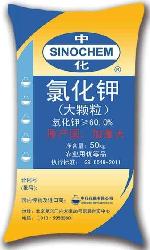 點擊查看大圖