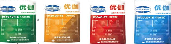 點擊查看大圖