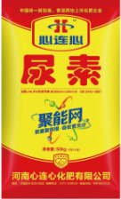 點擊查看大圖