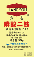 點擊查看大圖