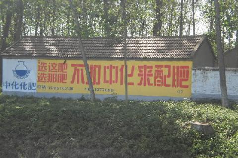 點擊查看大圖