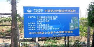 點擊查看大圖