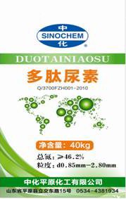 點擊查看大圖