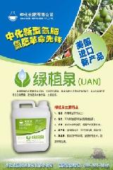 點擊查看大圖