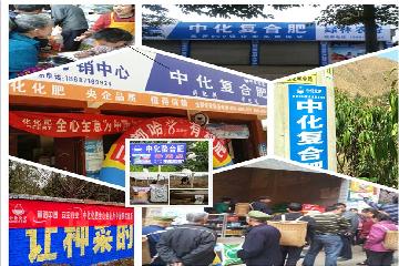 點擊查看大圖