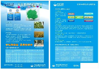 點擊查看大圖