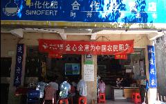 點擊查看大圖