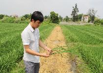 點擊查看大圖
