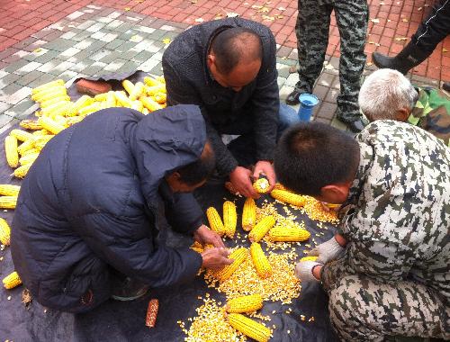 點擊查看大圖