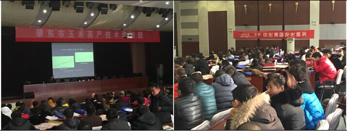 點擊查看大圖