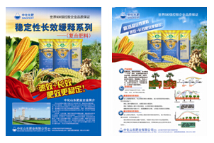 點擊查看大圖