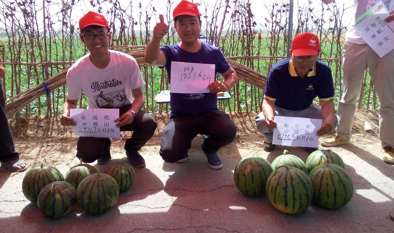 點擊查看大圖