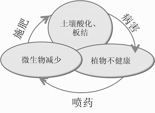 點擊查看大圖 12