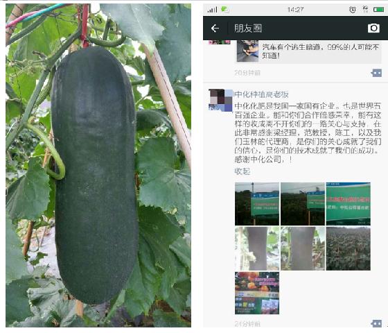 點擊查看大圖