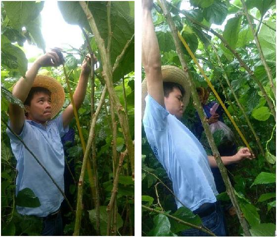 點擊查看大圖