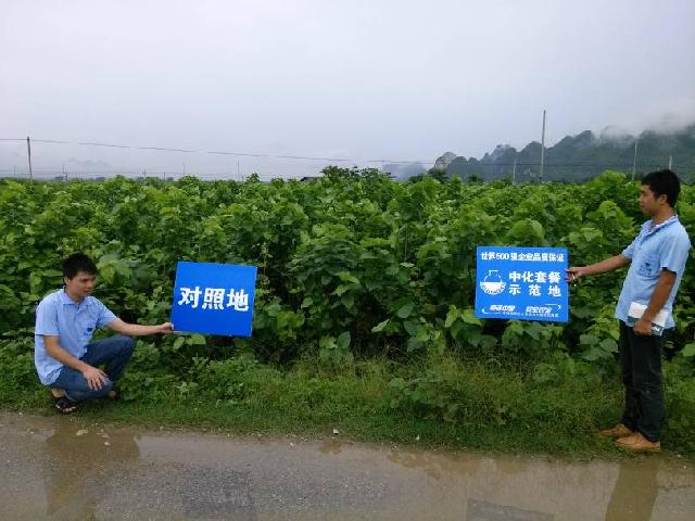 點擊查看大圖