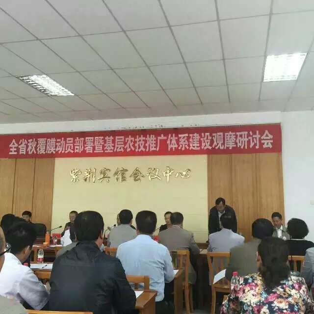 點擊查看大圖