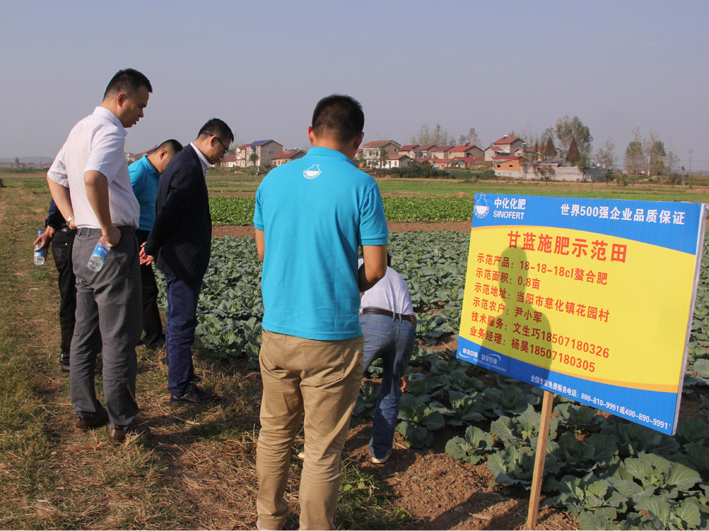 點擊查看大圖 中化化肥CEO王紅軍參加IFA中國顧問組會議-2