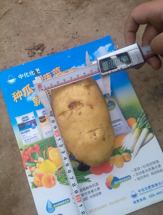 點擊查看大圖