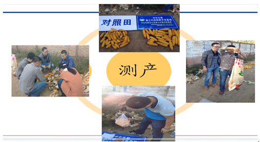 點擊查看大圖